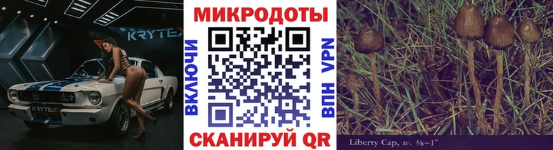 Галлюциногенные грибы Psilocybine cubensis  Сегежа 